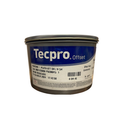 Plata Pantone 877 Metalico 1 Kg